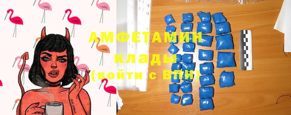 прущие грибы Сосновоборск