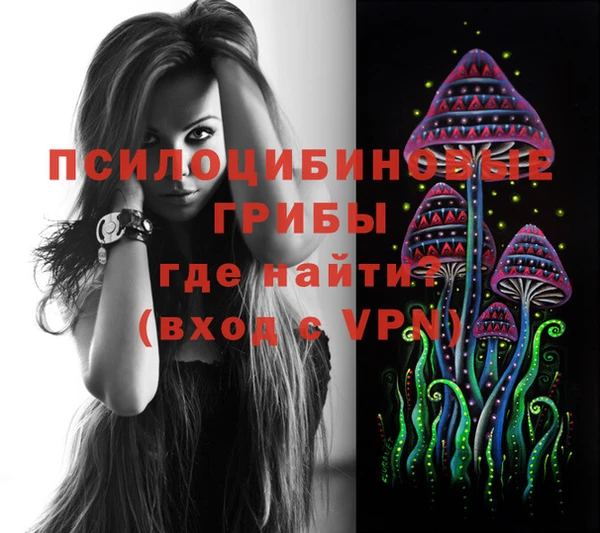 прущие грибы Сосновоборск