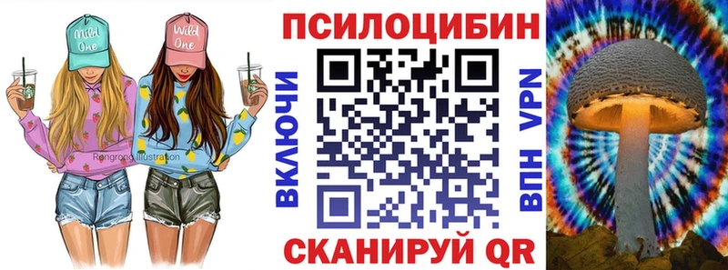 купить закладку  Западная Двина  Псилоцибиновые грибы ЛСД 