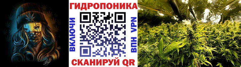Каннабис план  hydra ссылки  Западная Двина  купить наркоту 